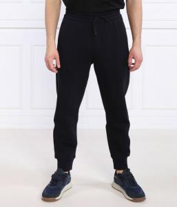 Штаны спортивные Emporio Armani с карманами, темно-синий