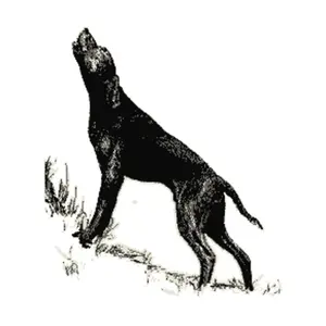 Статья в Бестиарии — Собаки, Harn - Bestiary Articles