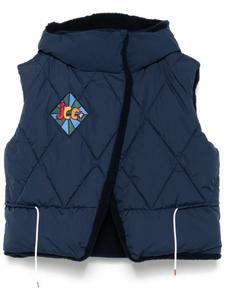 Жилет Diamond из коллаборации с JCC Rossignol, синий