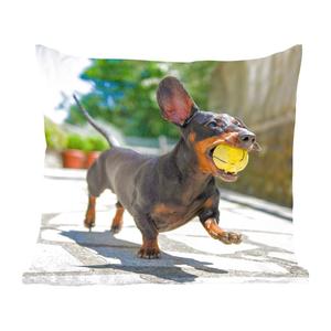 MuchoWow Декоративная подушка Диванная подушка Декоративная подушка для гостиной 45 x 45 см Черная такса с теннисным мячом - Чехлы на подушки - Декоративные чехлы на подушки - Декоративные наволочки