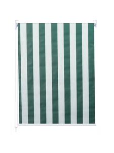 MCW Рулонная штора D52, 110x230 см, зелено-белая