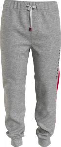 Мужские спортивные штаны Tommy Hilfiger, Grey Heather
