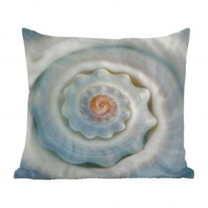 Декоративная подушка MuchoWow диванная подушка для гостиной декоративная подушка 45х45 см ракушка - спираль - море - чехлы на подушки - чехлы декоративные - чехлы декоративные