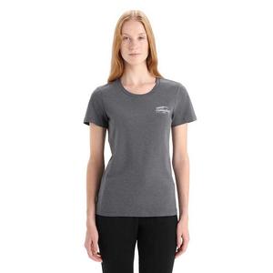 Футболка Icebreaker Central Classic Caravan Life, серый