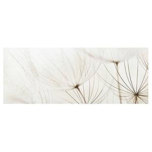 Картина Bilderwelten Sanfte Gräser II, 100x40x0,4 см, разноцветный