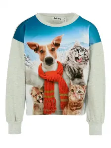 Толстовка с длинными рукавами и анималистичным принтом Molo, серый