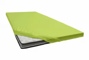 Простыня Janine "TOPPER 5001/", с эластичным краем по низу 180-200х200-220 см, 1 шт., зеленый