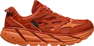 Кроссовки Clifton L GORE-TEX 'Burnt Ochre', коричневый