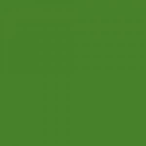 Фильтр Tiffen 2 x 2" #13 (2) Green Filter 2213G2