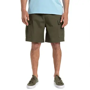 Шорты Quiksilver Taxer Ws cargo, зеленый