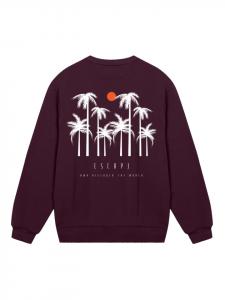 Толстовка F4NT4STIC, бордовый