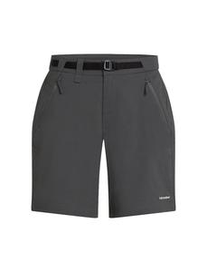 Обычные брюки ICEBREAKER, темно-серый