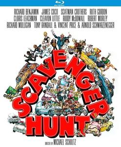 Диск Blu-ray Scavenger Hunt [1979]