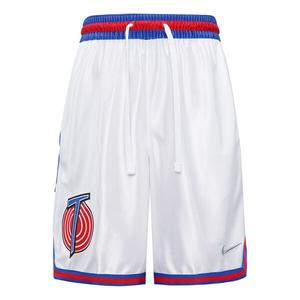 Спортивные шорты Nike Large Dunk 2 Space Jam LeBron James 23 Large Shorts White, белый