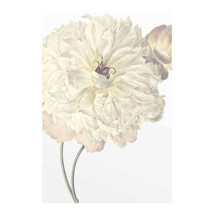 Фреска Komar Illustration Dahlia цвет weiß/lilla/grün