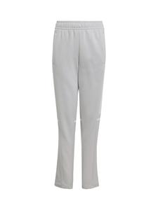 Облегающие спортивные брюки ADIDAS PERFORMANCE Squadra 25, светло-серый