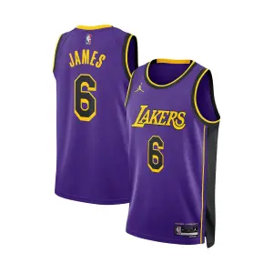 Брендовая мужская футболка lebron james purple los angeles lakers 2022/23 statement edition swingman jersey Jordan, фиолетовый