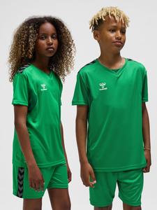 Футболка Hmlauthentic футбольная детская HUMMEL