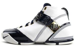 Nike LeBron 5 White Navy Metallic Gold