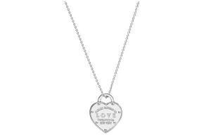 TIFFANY & CO. Возвращение в Tiffany коллекция ожерелье Unisex Silver