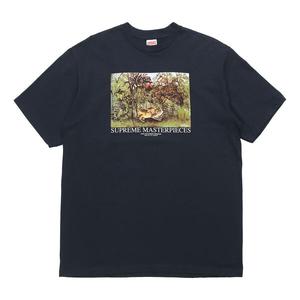 Футболка ss20 week 1 masterpieces tee landscape printing short sleeve navy blue Supreme, синий
