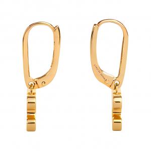 Серьги Triomphe с кристаллами, латунь с золотым покрытием CELINE, золотой-Box/Dust Bag Random Shipment