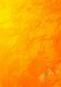 Notebook, size 7 x 10 inches, inside cover, table of contents, page numbers, 28 lines, 200 pages (Independently published)