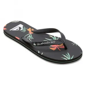 Шлепанцы Quiksilver Molokai Art II, черный