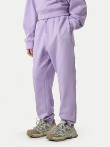 Спортивные брюки regular fit Essential NF0A8BHS The North Face, фиолетовый
