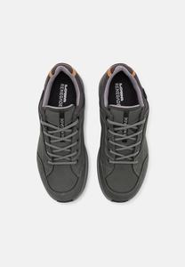 Походная обувь RENEGADE EVO GORE TEX LO Lowa, серый