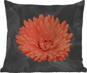 Подушка для улицы - Цветы - Оранжевый - Черный - Белый - 45x45 см - Водонепроницаемая - Подушка для отдыха - Подушка с фотографией - Декоративная подушка MuchoWow