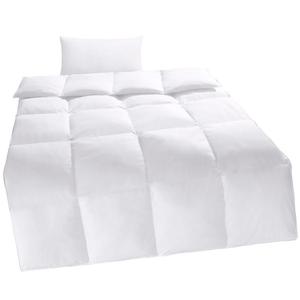 Комплект Home affaire Taylore одеяло из синтепона + подушка, 40х80, теплое, белый