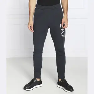 Спортивные брюки стандартного кроя Ea7, синий