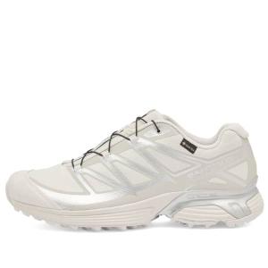 Кроссовки Xt-Pathway gtx Salomon, мультиколор