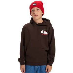 Детская толстовка Omni Logo Quiksilver, коричневый