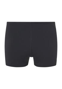 Брюки для плавания, быстросохнущие, устойчивые к хлору, мужские speedo, черный