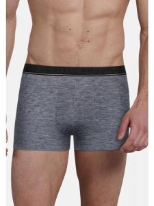 Боксеры Bugatti