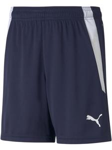 Спортивные шорты TeamLIGA Shorts Jr синего цвета Puma
