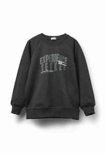 Толстовка Tezenis Sweatshirt, Metallic Black