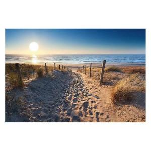 Картина Reinders Dünenpfad, разноцветный