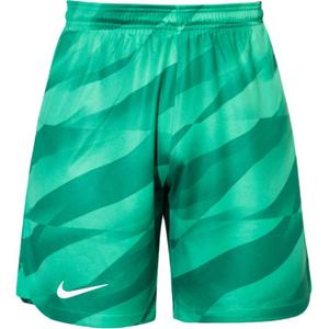 Футболка Dri Fit Soccer Bottom Men's Nike, зеленый