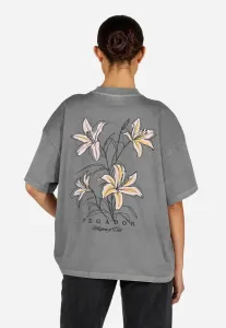 Футболка с принтом cosenza Pegador, Vintage Grey