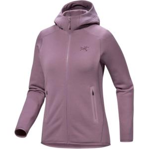 Arcteryx Толстовка с капюшоном из флиса, Interstellar Purple