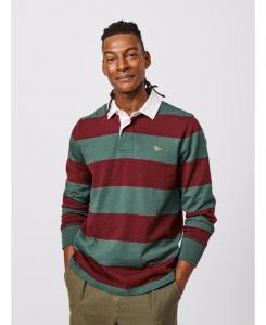 Мужская регбийная футболка "Ирнхэм" Aubin, Forest/burgundy stripe