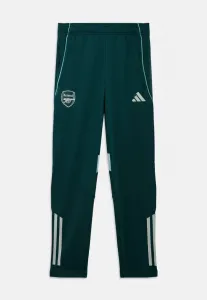 Детские спортивные штаны arsenal fc tiro competition pants унисекс Adidas Performance, Aurora Ivy