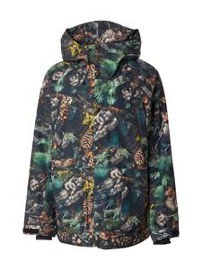 Спортивная куртка DC Shoes TUNDRA, Mixed Colors