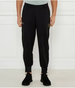 Спортивные штаны regular fit Ea7, черный