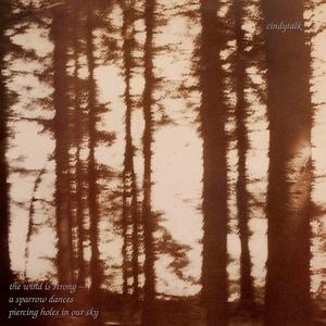 Диск CD The Wind Is Strong - Cindytalk