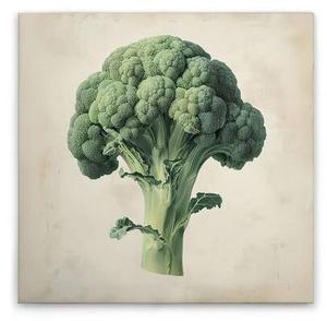 Картина на холсте A.S. Création Brokkoli цвет cremebeigegrün