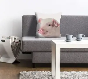 Декоративная подушка Queence "Ребекка", со свинкой, чехол без наполнения, 1 шт 40х40 см, розовый